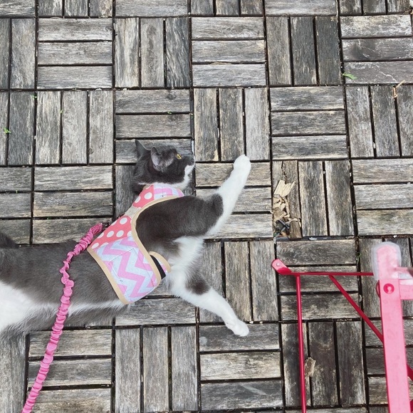 Meet your Posher, Yelle - Picture 7 of 9